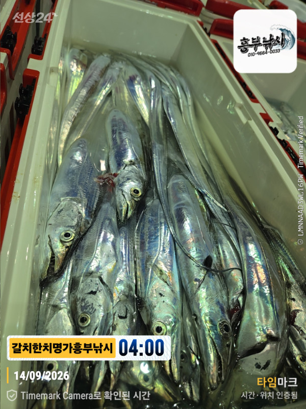 2026-09-14 04.00.02__(제목-갈치한치명가흥부낚시).jpg