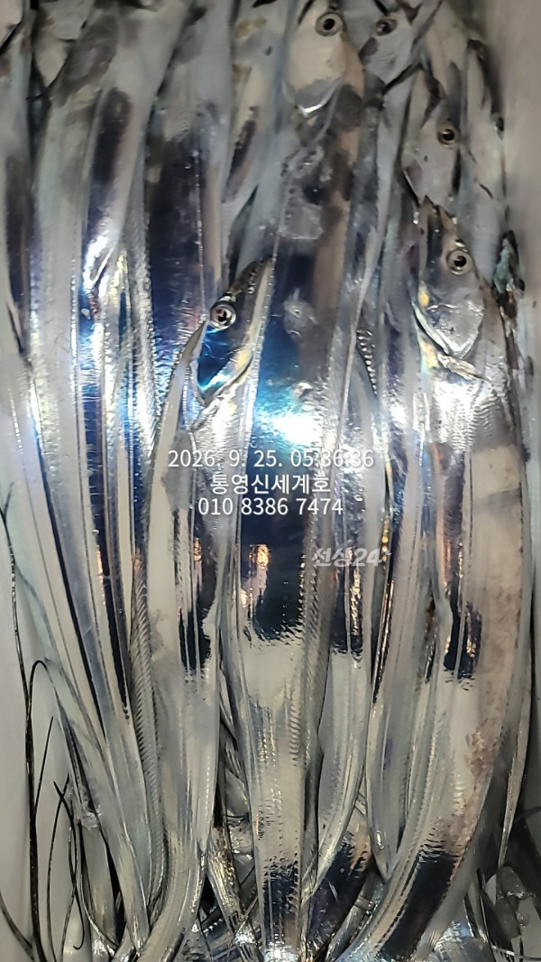 1790297389062.jpg