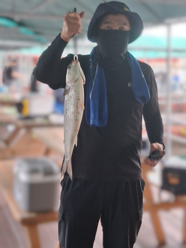 77995.jpg
