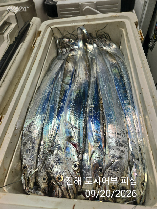 KakaoTalk_20260920_052035482_18.jpg