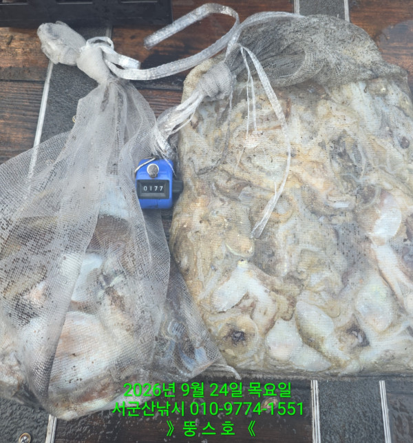 군산 선상낚시, 바다낚시 출조 전문 ☆서군산낚시☆_사진_20260924_5.jpg
