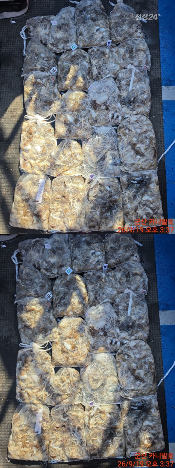 KakaoTalk_20260920_031017615_12-vert1111111111.jpg