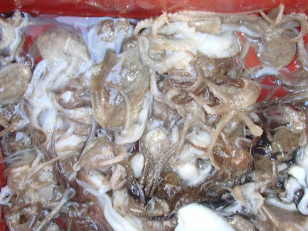 120.JPG