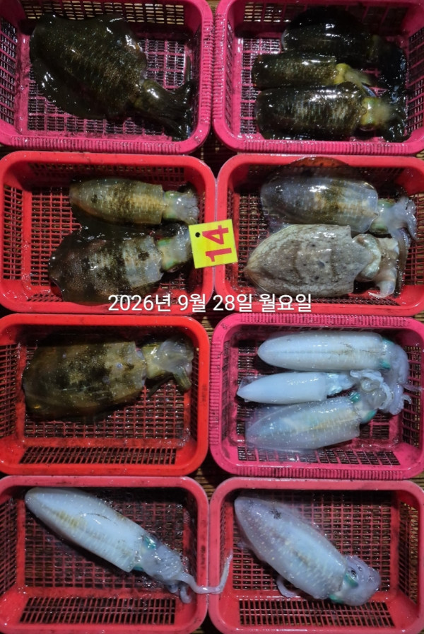 87975.jpg