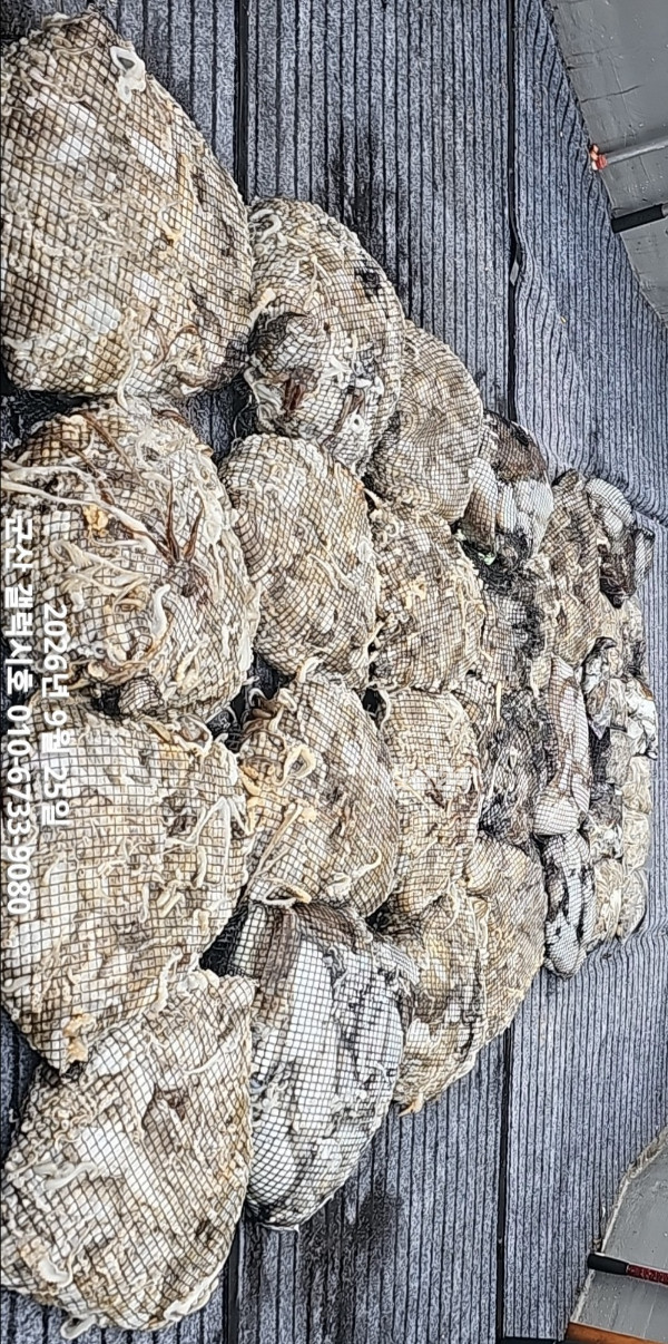 1000125383.jpg