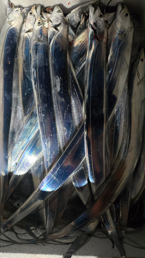 1788644671019.jpg