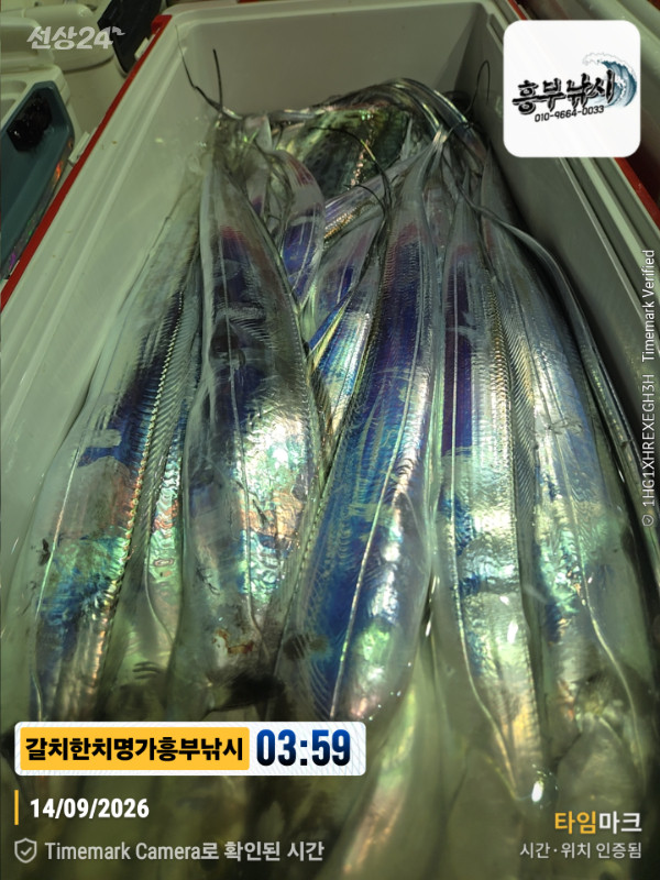 2026-09-14 03.59.59__(제목-갈치한치명가흥부낚시).jpg