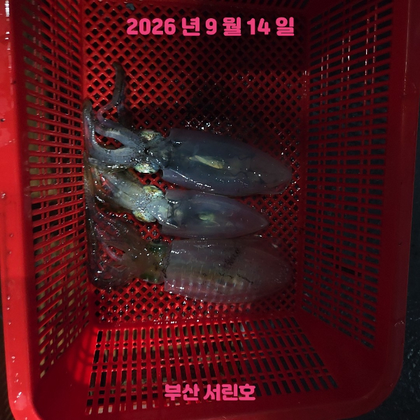 13781.jpg