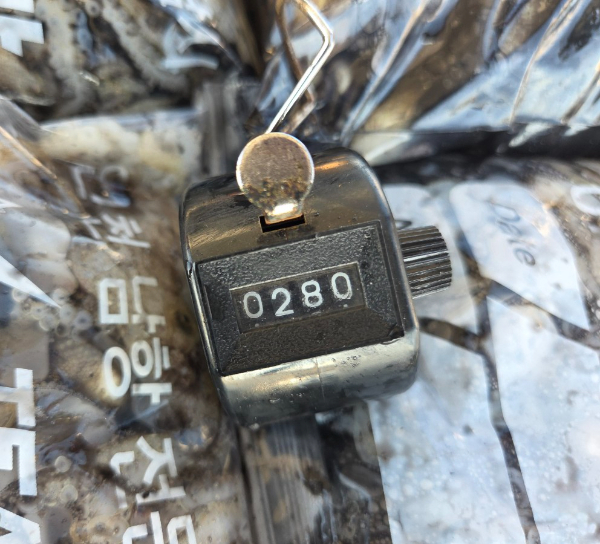 22352.jpg