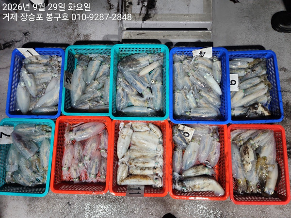 1000073977.jpg