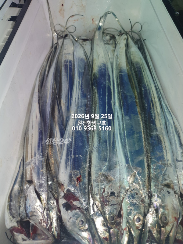 KakaoTalk_20260925_051858452_08.jpg