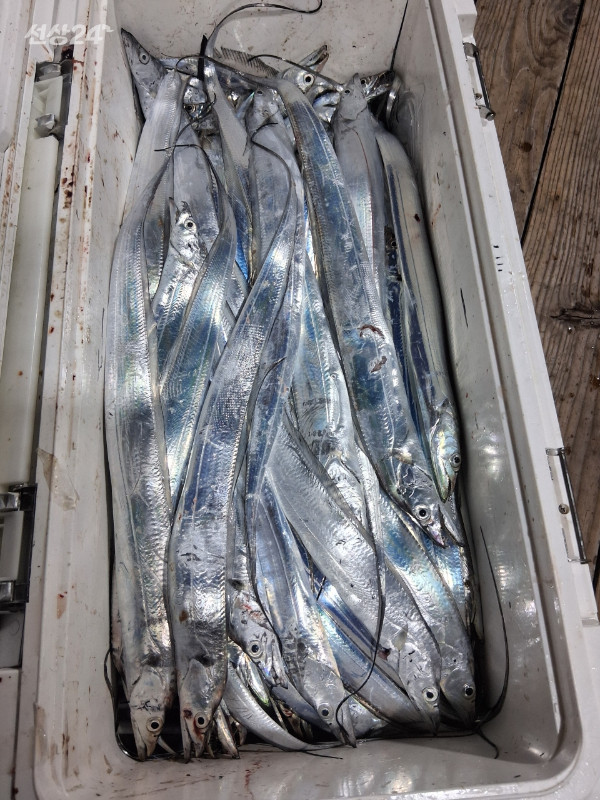 1004피싱_사진_20260919_7.jpeg