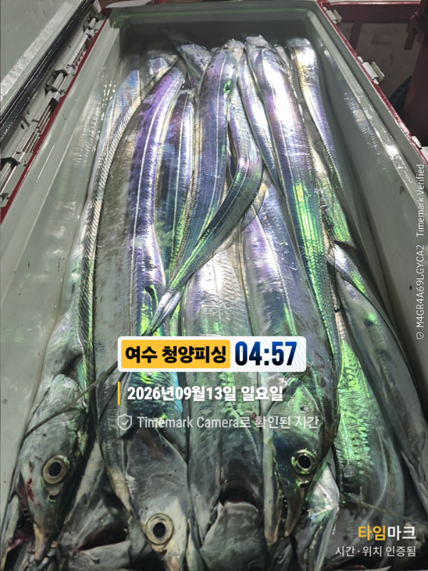 2026-09-13 04.57.39__(제목-여수 청양피싱).jpg