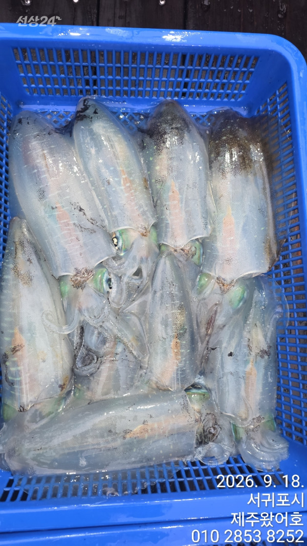 제주왔어호_사진_20260918_14.jpg