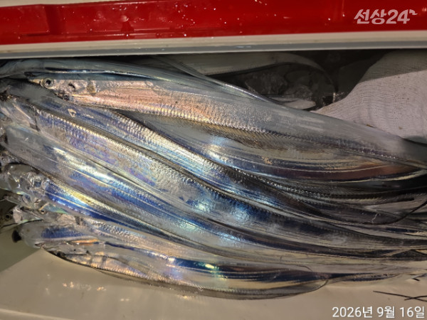 1000397555.jpg