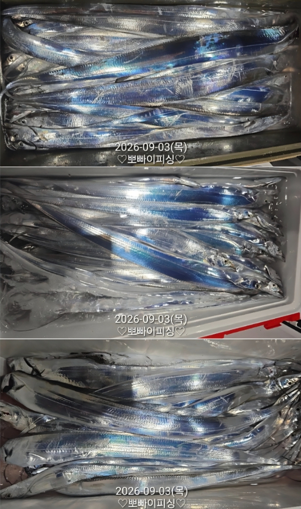 1000113946.jpg