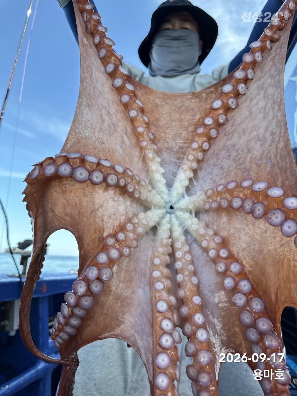 IMG_9108.jpeg