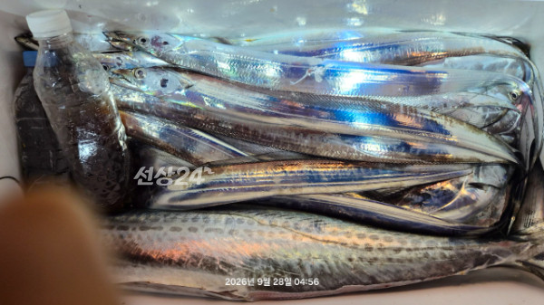 1004피싱_사진_20260928_13.jpg
