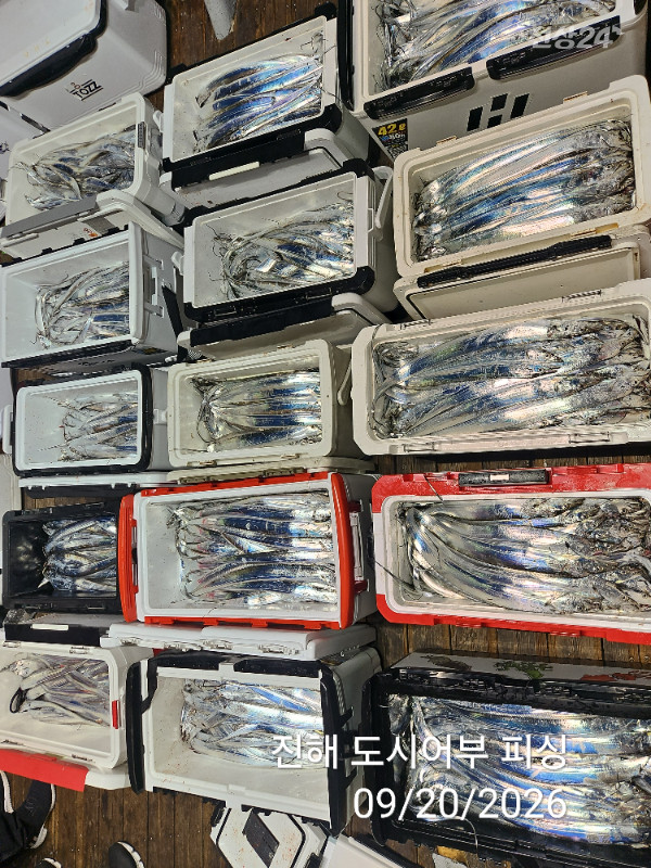 KakaoTalk_20260920_052035482_11.jpg