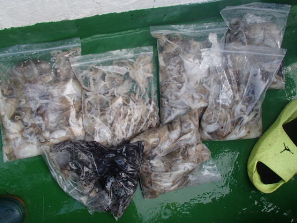 103.JPG