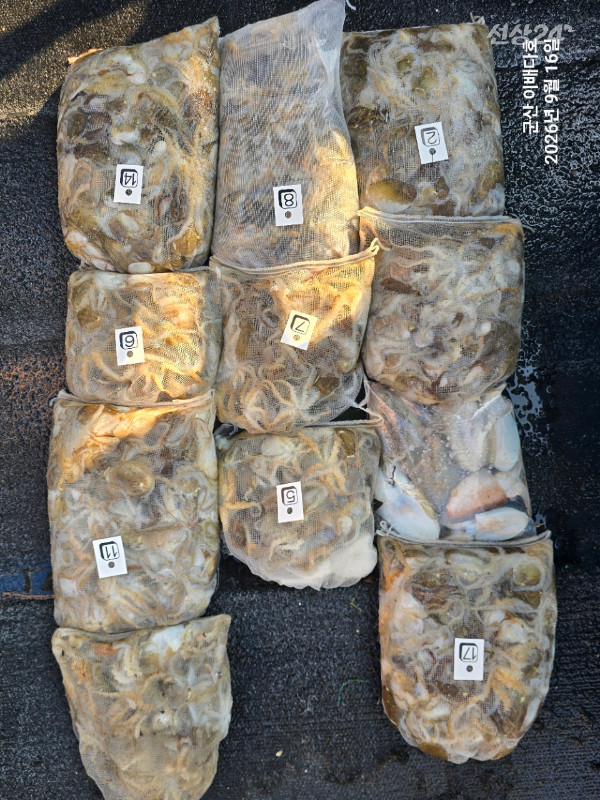 새만금낚시클럽_사진_20260916_3.jpg