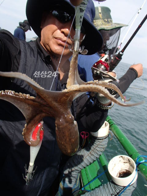 201.JPG