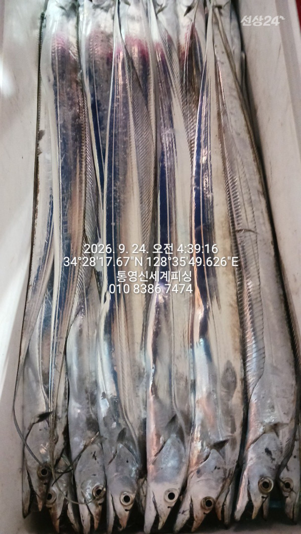 1790198862291.jpg