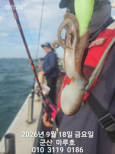KakaoTalk_20260918_073946400.jpg