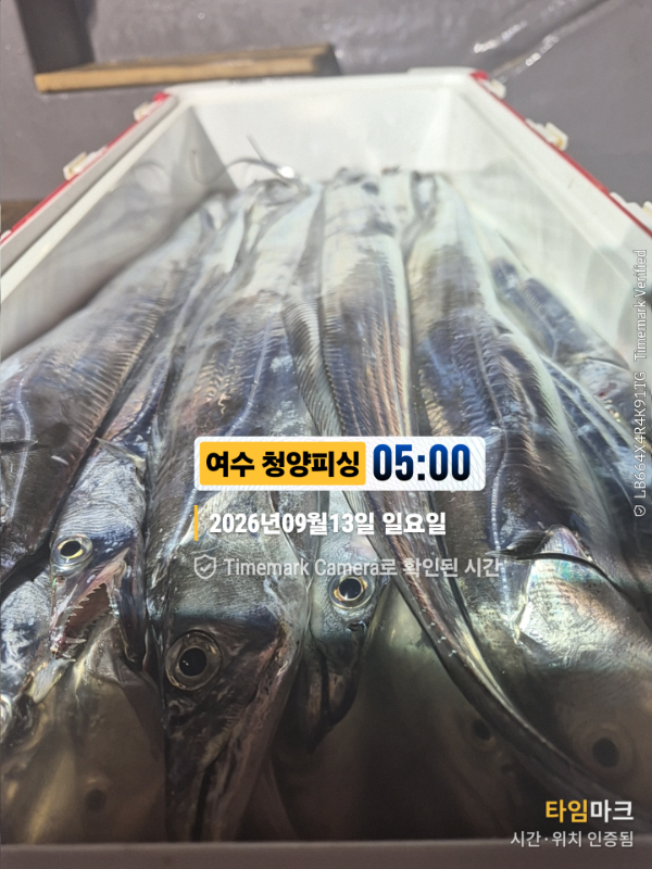2026-09-13 05.00.33__(제목-여수 청양피싱).jpg