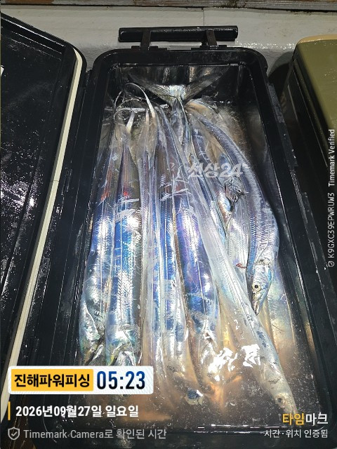 43114.jpg