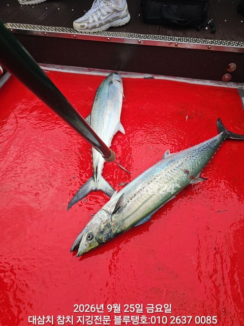20260925_080620.jpg