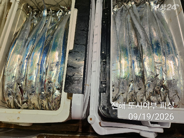 KakaoTalk_20260919_054500726_13.jpg