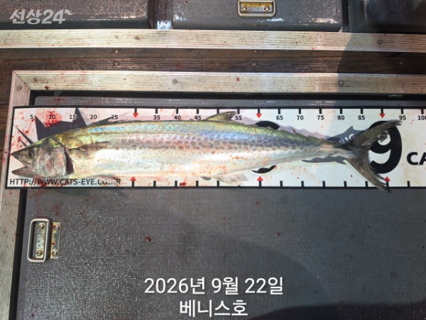 KakaoTalk_20260923_031051231_11.jpg