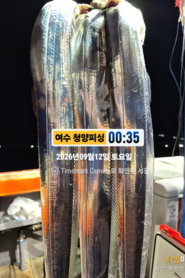 2026-09-12 00.35.52__(제목-여수 청양피싱).jpg