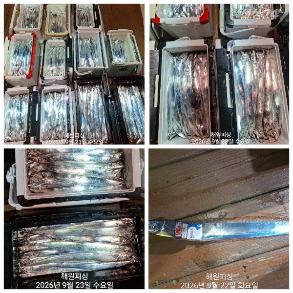 1000036899.jpg