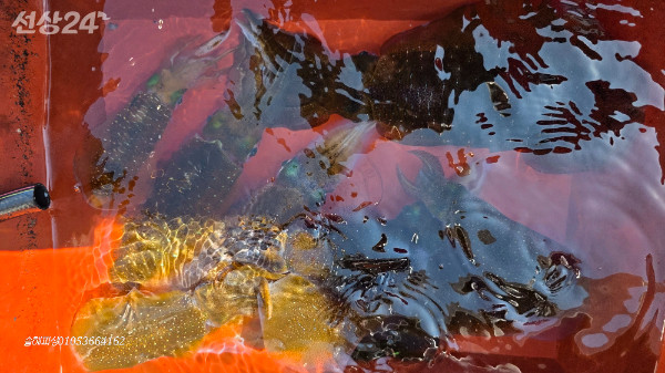 20260916_133112.jpg