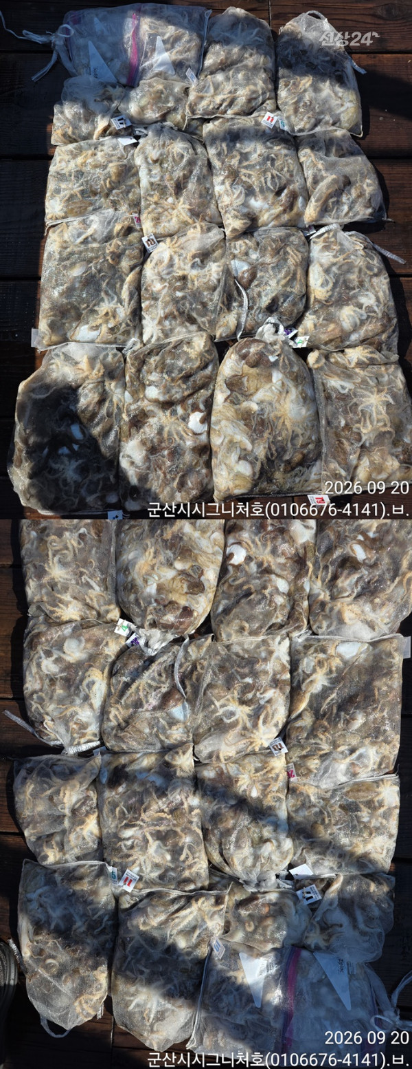 KakaoTalk_20260920_155718389_04-vert1111111111.jpg