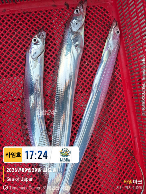 KakaoTalk_20260930_174309215_01.jpg