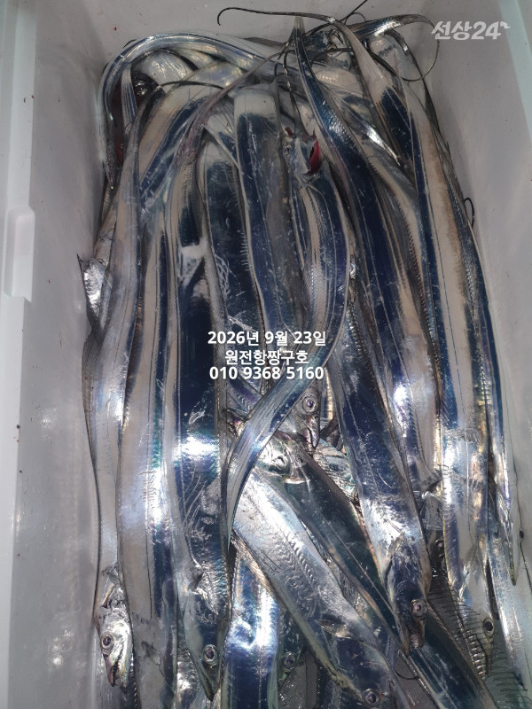 KakaoTalk_20260923_112349414_08.jpg