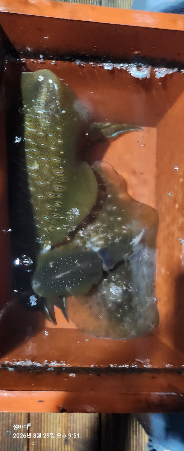 20260829_215112.jpg