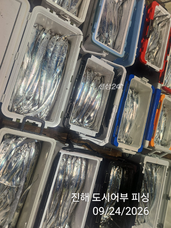 KakaoTalk_20260924_050456578_11.jpg
