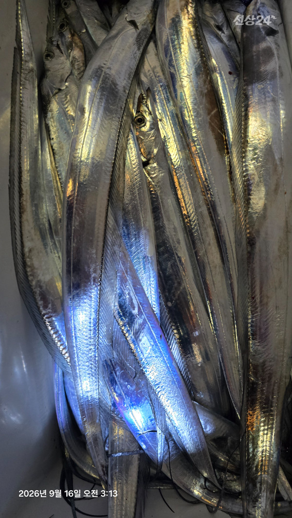 1000058791.jpg