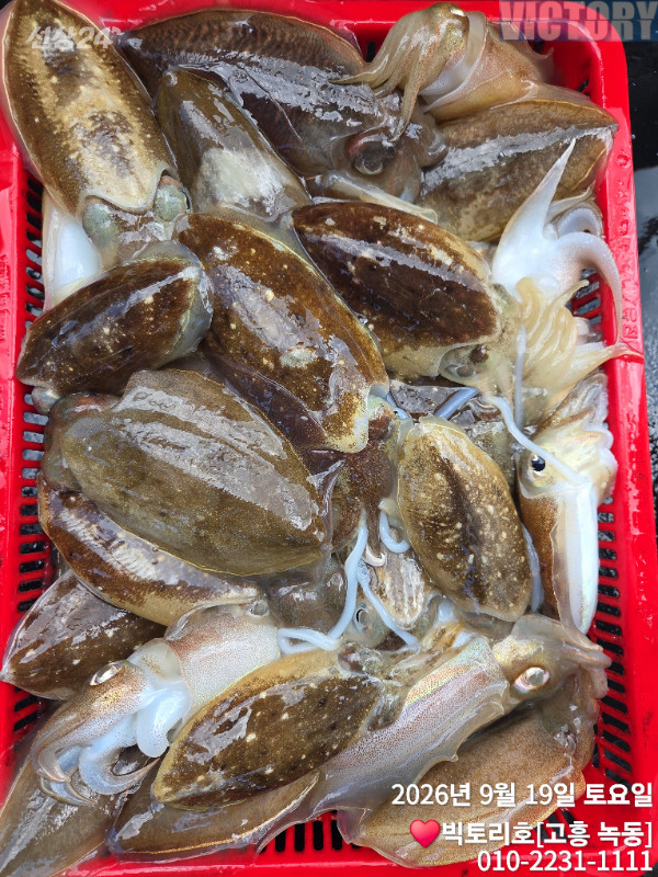 TimePhoto_20260919_125426.jpg