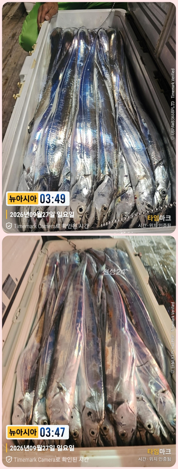 KakaoTalk_20260927_083449525_02-down.jpg