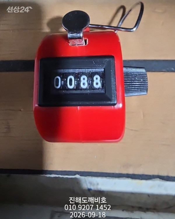 8155.jpg