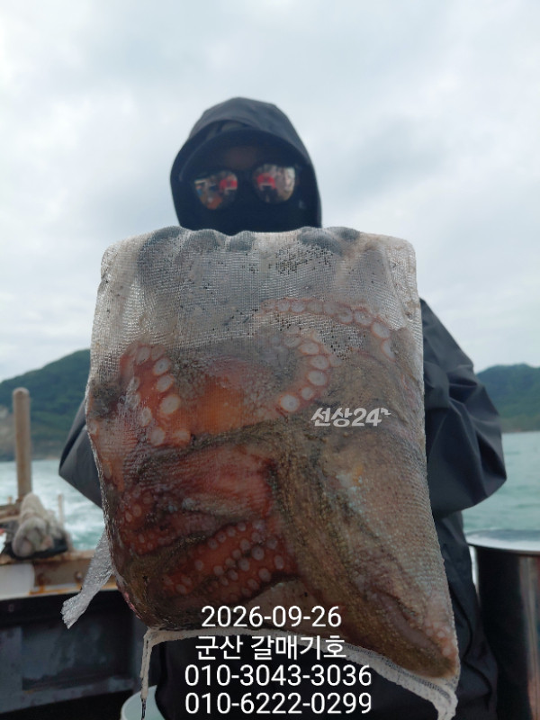 10032.jpg