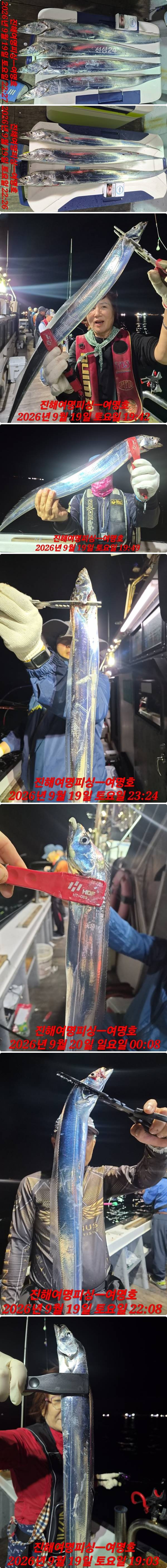 20일갈치상.jpg
