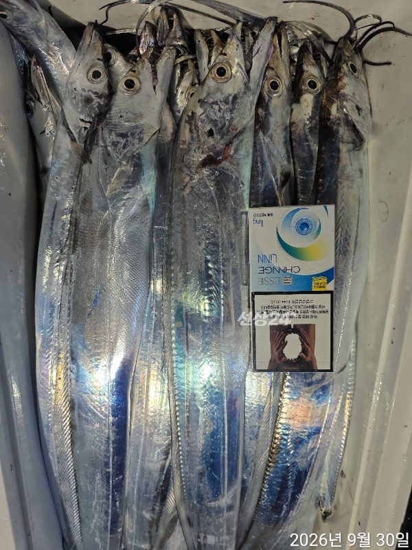 1000402308.jpg