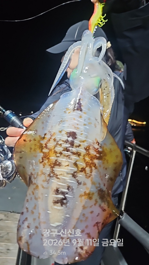 신신낚시 강구점 신신호_사진_20260912_5.jpg