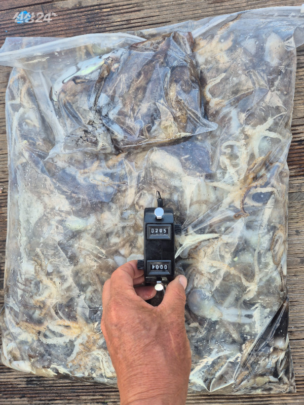 1000029806.jpg